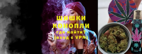 прущие грибы Сафоново