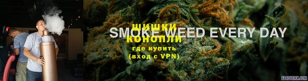 прущие грибы Сафоново