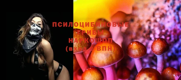 прущие грибы Сафоново