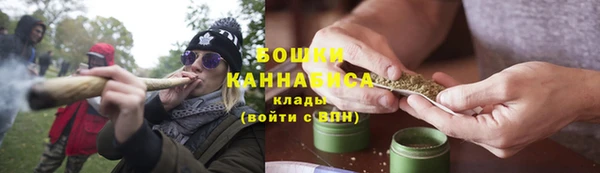 прущие грибы Сафоново