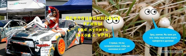 шишки Богородицк