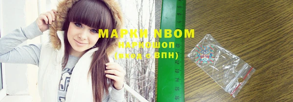 шишки Богородицк