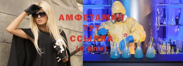 прущие грибы Сафоново